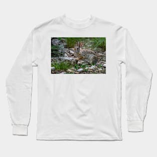 Cottontail Rabbit Hopping Along the Trail Long Sleeve T-Shirt